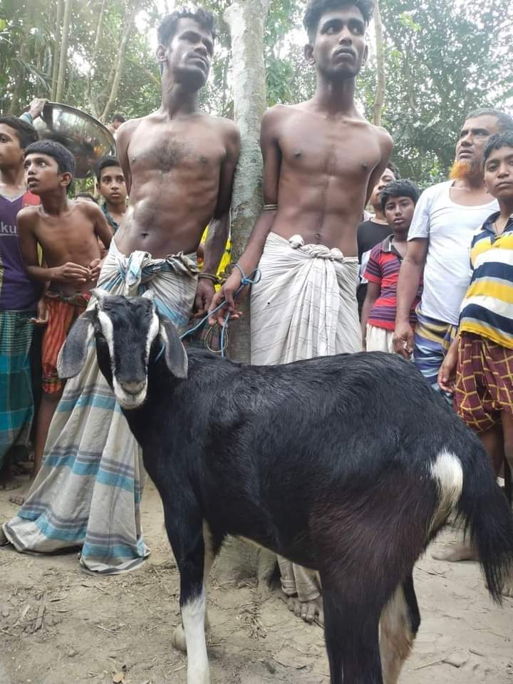 নান্দাইলে চুরির হিড়িক ২ ছাগল চোরকে