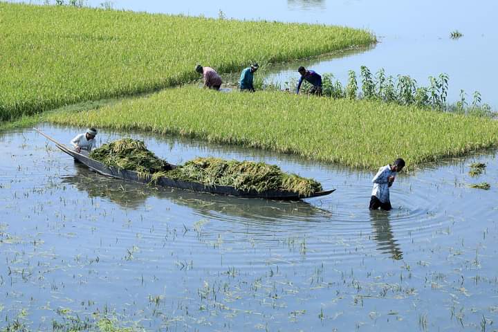 গত বৃহস্পতিবার বাংলাদেশের