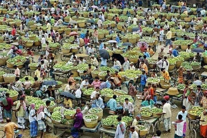 আপনারা কি জানেন,