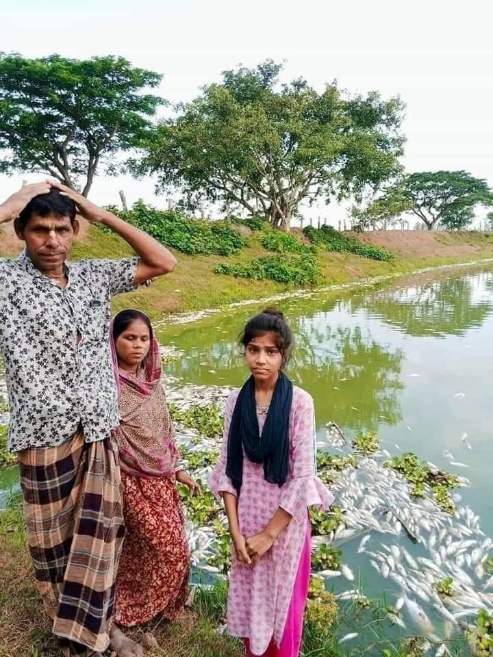 পূর্ব শত্রুতার জের ধরে রাতের আঁধারে পুকুরে বিষ প্রয়োগে প্রায় ২৫ লাক্ষাধিক টাকার টাকার মাছ নিধন করেছে দুর্বৃত্তরা।