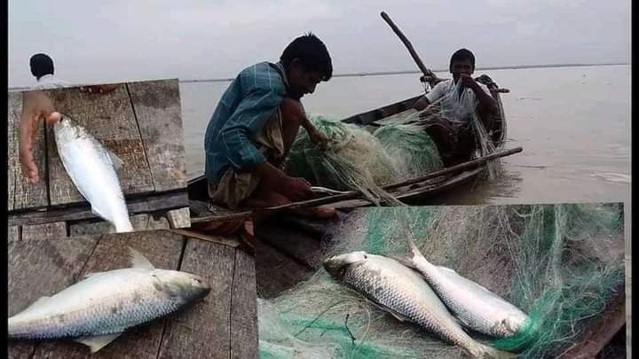 প্রিয় বৃহত্তর নোয়াখালীবাসী আসসালামু আলাইকুমবৃহত্তর নোয়াখালীর আওতাধীন…