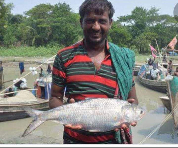 সারাদেশের ন্যায় গাইবান্ধাতে প্রত্যেকটি জেলে পাবেন ভিজিএফের ২৫ কেজি করে চাল।