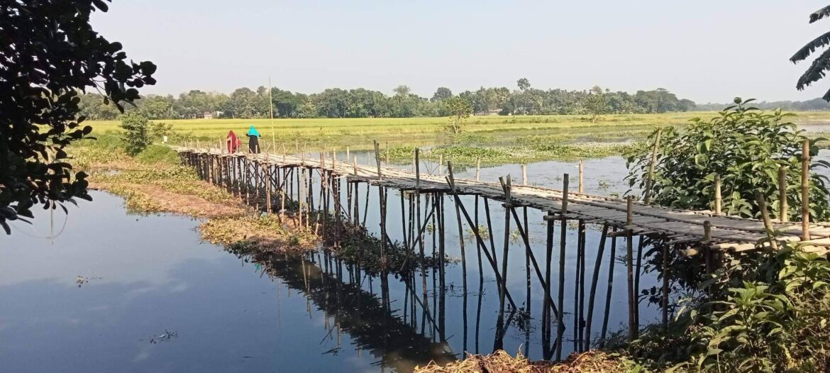 বাঁশের সাঁকোই পয়ারীর ৫গ্রামের স্কুল শিক্ষার্থীসহ সাধারন মানুষ দুর্ভোগে চরমে–