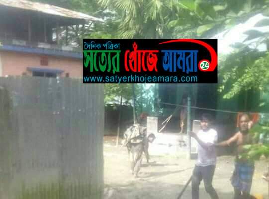 এক আতঙ্কের নাম চাঁদাবাজ আলামিন ভোলা সদর উপজেলা