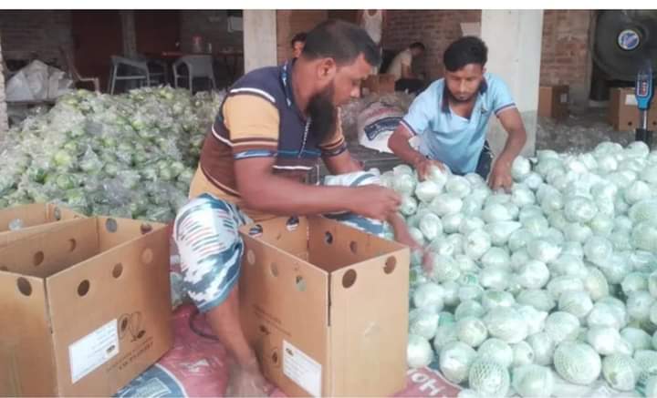 সৌদির পর এবার দুবাই… গতমাসে প্রথম বারের মতো চিটাগাং সমুদ্র বন্দর