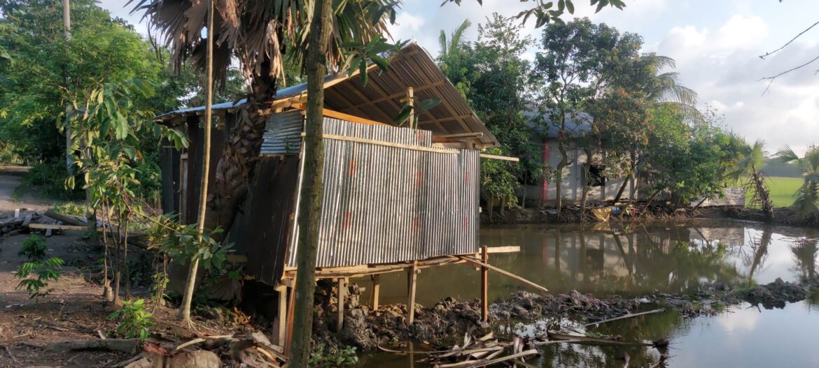 বাউফলে আদালতের রায় উপেক্ষা করে জায়গা দখলের অভিযোগ!!