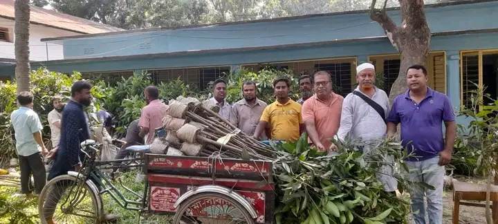 দিনাজপুর হিলিতে বিভিন্ন শিক্ষা প্রতিষ্ঠানে আম গাছের চারা বিতরণ