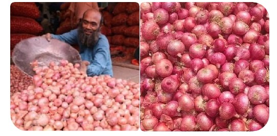 হিলি বাজারে কমেছে সব ধরনের পেঁয়াজের দাম