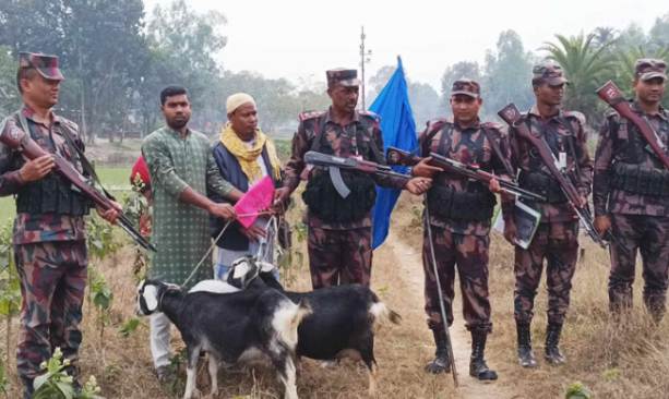 বিজিবি-বিএসএফ পতাকা বৈঠকের পর ৩ ছাগল ফেরত