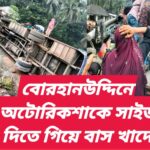 বোরহানউদ্দিনে অটোরিকশাকে সাইড দিতে গিয়ে বাস উল্টে আহত ৪