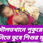 দৌলতখানে পুকুরের পানিতে ডুবে শিশুর মৃত্যু